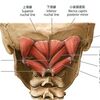 後頭下筋群をなんとかする