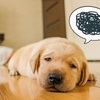 〇〇〇〇が一番時間を無駄にする！知っておきたいその対策法は？