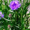 5月【やりたいことリスト】振り返り：いつもの生活を新鮮に