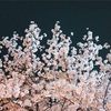 自己対峙は裏切らない