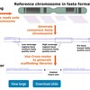  in silico mate-pairシーケンシングによってde novo アセンブリ改善を試みる cross-species-scaffolding