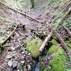 そぶ谷(蔵柱金山)探索