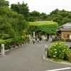 あじさい月間　～掛川本勝寺～