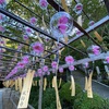 夏のおもひで in 京都〜風鈴寺