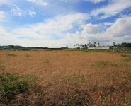 宮城県東松島市野蒜地区の空き地 ②