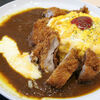 【株主優待生活】(株)松屋フーズホールディングス [9887]　マイカリー食堂で期間限定のチキンかつオムレツ欧風ビーフカレー大盛 トッピングチーズ　