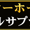 競馬商材「スターホース◆ダブルサプライズ」レビュー