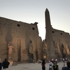 エジプト 悠久の船旅 ⑱ ライトアップルクソール神殿