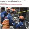 #メキシコ地震 ｜ 日本の救助隊が５日ぶりに救助した白い小型犬、無事に家族のもとへ