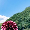 起立性調節障害の保護者の心構えは「心の平静」