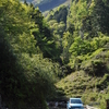 登り尾から智者山