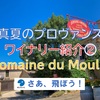 2020年 真夏のプロヴァンス・ヴァンソーブル村のワイナリー紹介・Domaine du Moulin