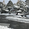 雪、雪、雪、そして青空