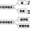   【基礎から学ぶ】脳神経【解剖生理学】