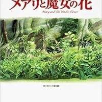 地上波テレビ初放送 メアリと魔女の花 あらすじ 声優紹介 ネタバレなし 映画ときどき海外ドラマ