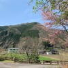 【キャンプ】郡上八幡リバーウッドオートキャンプ場