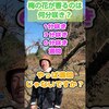 実は…梅の花が一番香るのは…？　#農業 #農家 #農業女子 #梅農家 #梅仕事 #梅 #梅ボーイズ #shorts