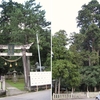 三又大杉（山中温泉菅谷町八幡神社）