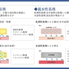 褥瘡を科学する