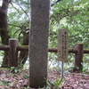 万葉歌碑を訪ねて（その１７９６）―愛媛県西予市　三滝公園万葉の道（８）―万葉集　巻四　六六九
