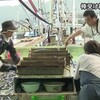 天草市牛深町で棒受け網漁の水揚げ【熊本】    