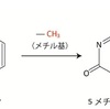 エピジェネ因子の"じゃない方"の機能_DNAメチル化編