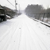 何を物好きに吹雪の中を散歩だどー