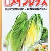 プラカップの中で「ロメインレタス（コスレタス）」を水耕栽培。今度こそ結球したものを収穫をします