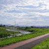 6月水辺の風景5 多摩モノレールで散歩