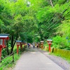 早朝の高尾山