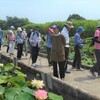 線香花火