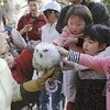 昨年７月誕生したシロフクロウ公開 富士国際花園　静岡