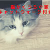 猫のくつろぎ家具【キャットウォーク付きTV台】