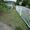 通学路の草刈りをしました🎵