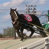 ばんえい競馬 in 帯広（北海道・十勝その１）