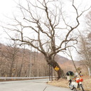 勝手にアスパラ収穫の日記