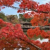 奈良公園・浮見堂の紅葉２０２３年（１１月下旬～１２月初め）