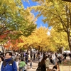 102/100 北海道大学の紅葉で驚き！札幌滞在最後の思い出