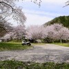 吉野公園の🌸桜へ