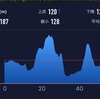 転倒して10.34km〜12月6日〜