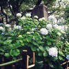 聖なる場所を巡る　愛宕神社百四回目　空路大阪へ 2016.6.8水曜日