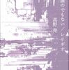 髙野尭『誰のでもない／レリギオ』（思潮社）
