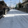 １月２５日・・・雪❄️