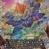 光輝の睡蓮について考える