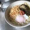 うどんの日。