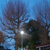 今日こそ残業？(水曜日、晴れ)