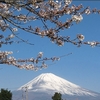 今朝の富士山と桜（20210326）