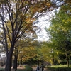 柏の葉公園で少しの気晴らし。外出って素晴らしい！