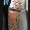 Autum View from Window
