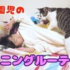 2月17日の動画